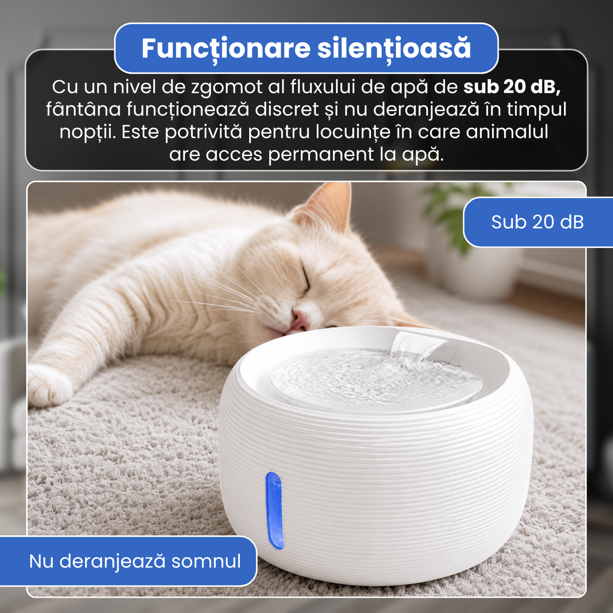 Fantana automata de apa pentru pisici si caini, 2.5 L, filtrare continua, pompa ultra-silentioasa sub 20 dB, protectie dry-run, alimentare USB, filtru pentru impuritati, design modern, alb