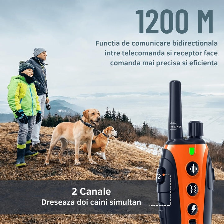 Zgarda electrica reincarcabila pentru dresaj, 2 caini, autonomie 35 zile, iluminare LED, 1200m raza de actiune, 99 nivele, bip, vibratie, soc, portocaliu