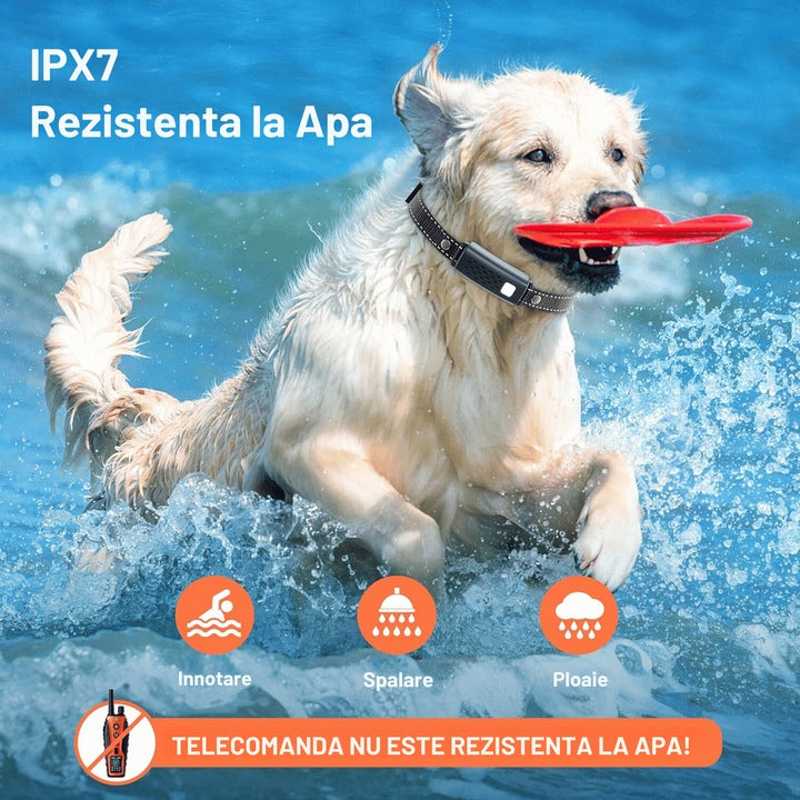 Zgarda electrica reincarcabila pentru dresaj, 2 caini, autonomie 35 zile, iluminare LED, 1200m raza de actiune, 99 nivele, bip, vibratie, soc, portocaliu
