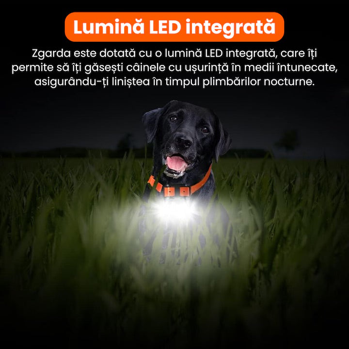 Zgarda electrica reincarcabila pentru dresaj, raza de actiune 800m, rezistenta la ploaie si praf IP67, circumferinta reglabila 21-68 cm, autonomie mare, portocaliu