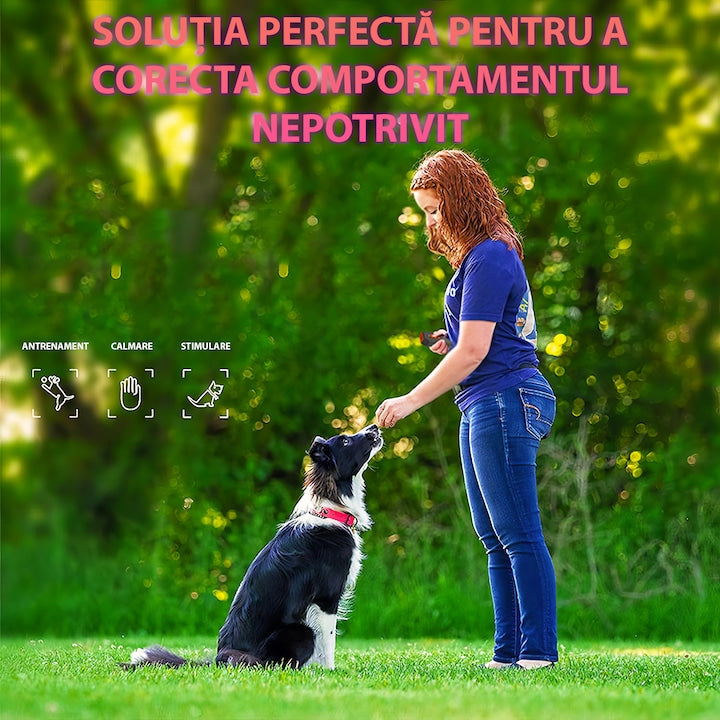 Dispozitiv cu ultrasunete anti-latrat, SJZ-048, autonomie baterie 20 ore, lanterna, laser, ultrasunete, raza actiune 15m