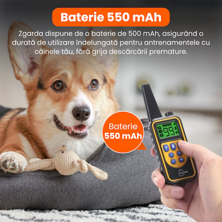 Zgarda electrica reincarcabila pentru dresaj, raza de actiune 800m, rezistenta la ploaie si praf IP67, circumferinta reglabila 21-68 cm, autonomie mare, portocaliu