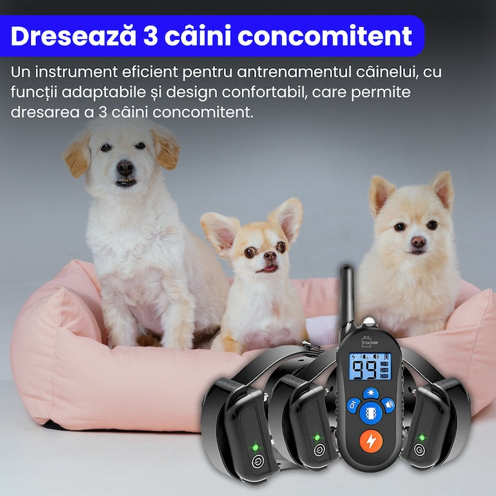 Zgarda electrica reincarcabila pentru dresaj, rezistenta la ploaie si praf, 4 moduri de dresaj, circumferinta reglabila 21-68 cm, 600m, autonomie mare, pentru 3 caini