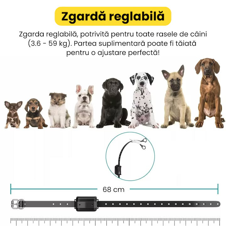 Sistem complet de gard invizibil pentru doi caini, cu transmitator si zgarda reincarcabila si rezistenta la apa IP67, raza de actiune 500 m, baterie 250 mAh, negru