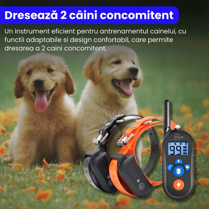 Zgarda electrica reincarcabila pentru dresaj, 4 moduri de dresaj, 600m, rezistenta la ploaie si praf, circumferinta reglabila 21-68 cm, autonomie mare, pentru 2 caini