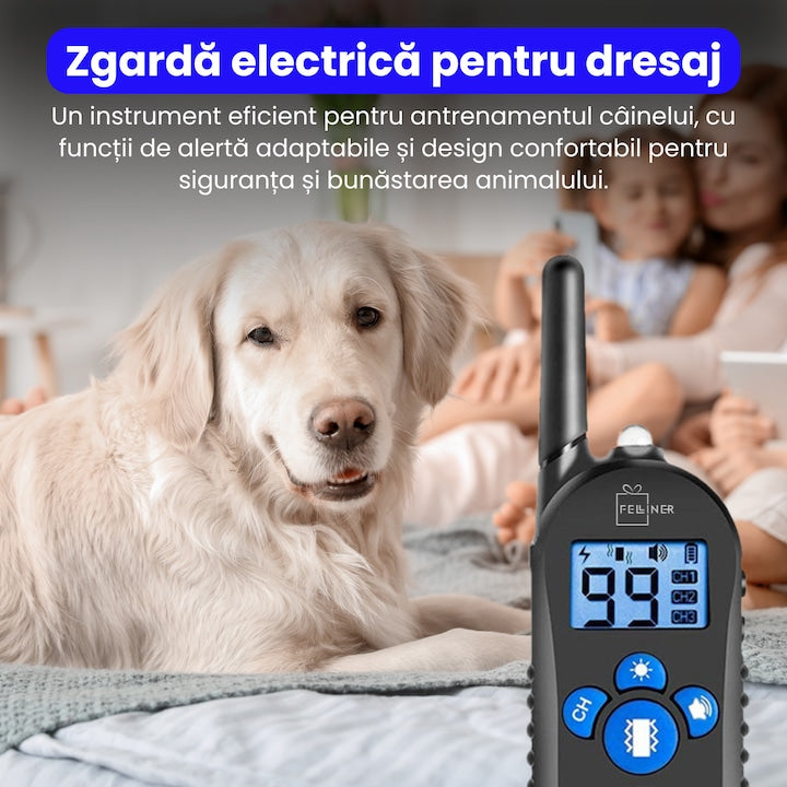 Zgarda electrica pentru dresaj, raza de actiune 600m, 3 moduri de dresaj, rezistenta la ploaie si praf IP67, circumferinta reglabila 21-68 cm, autonomie mare, pentru un caine, negru