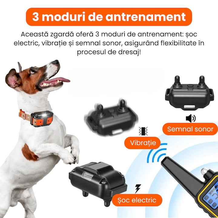 Zgarda electrica reincarcabila pentru dresaj, raza de actiune 800m, rezistenta la ploaie si praf IP67, circumferinta reglabila 21-68 cm, autonomie mare, portocaliu
